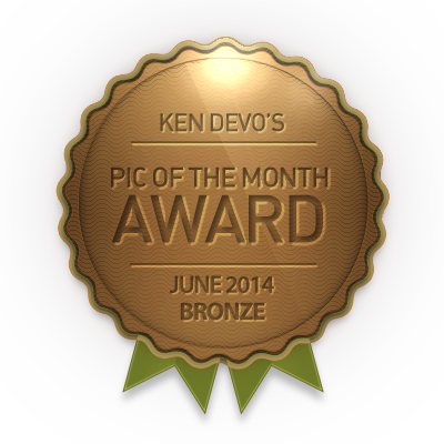 Bronze Pic of the Month award June 2014