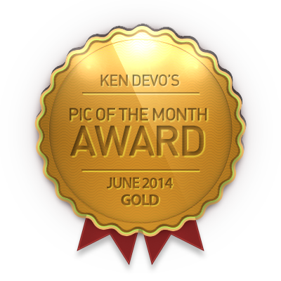 Gold Pic of the Month award June 2014